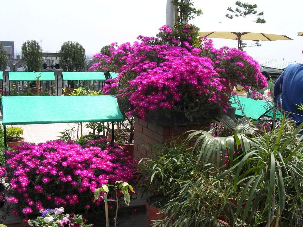 Hotel Excelsior Kathmandu Luaran gambar